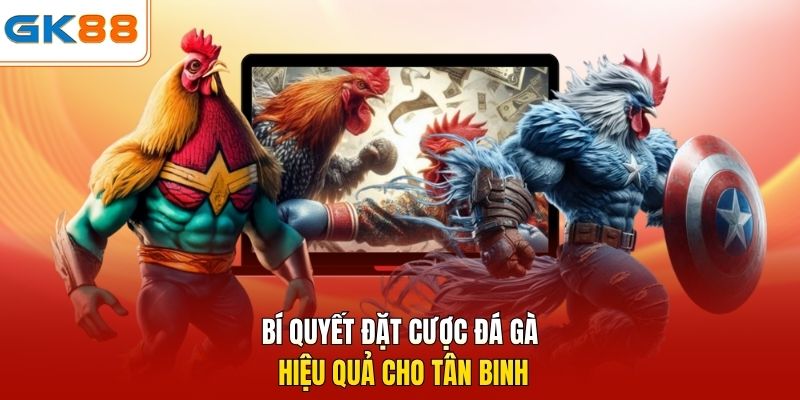 Bí quyết đặt cược đá gà hiệu quả cho tân binh
